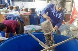 Phát triển nghề sản xuất nước mắm, khô thủy sản ở Tam Nông