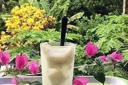 Thưởng thức và khám phá rượu nếp kiểu Huế
