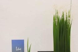 Triển lãm Ikebana Hà Nội lần thứ 4: 'Lặng' để trân quý những điều ta đang có