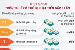 Từ 5/12/2020, trốn thuế có thể bị phạt tiền gấp 3 lần