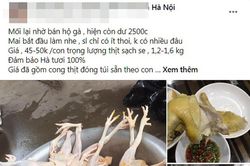 Gà ri 45 nghìn/kg, sự thật được người nuôi tiết lộ