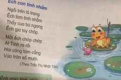 NXB Giáo dục Việt Nam chỉnh sửa 'sạn' trong 4 cuốn Tiếng Việt 1 ra sao?