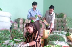 Phát triển nghề chế biến lương thực, thực phẩm