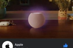 Cuộc chiến Facebook – Apple leo thang: Facebook xóa 'tick xanh' trên fanpage Apple?