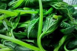 Sai lầm cực kỳ nguy hiểm khi ăn rau xanh