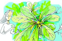 Em dắt xuân về