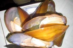 Thịt trai tăng phong độ cho chàng