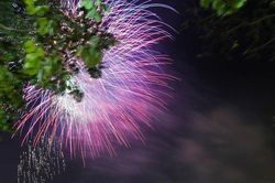 Người dân vỡ òa cảm xúc trước màn pháo hoa chào năm mới 2021