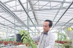 Nghệ nhân Minh Xa và niềm vui với nghề trồng hoa phong lan