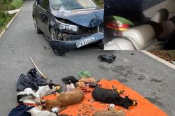 Trộm chó lái ô tô lao thẳng vào tổ tuần tra chốt chặn