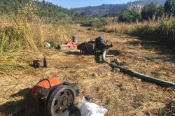 Gia Lai: Phát hiện vụ khai thác vàng trái phép