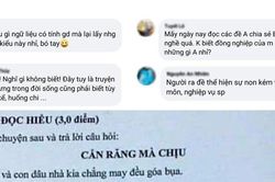Đề Ngữ văn nhạy cảm, không có tính giáo dục khiến nhiều người ngán ngẩm