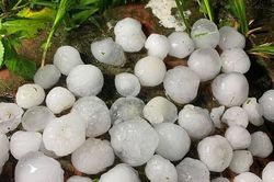 Giáp Tết có thể mưa đá, dông lốc diện rộng