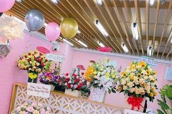Princess House: Điểm mua sắm mỹ phẩm uy tín cho chị em thích shopping