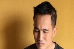 Lợi dụng chức danh Phó Giám đốc công ty để thuê 55 ô tô mang đi cầm cố