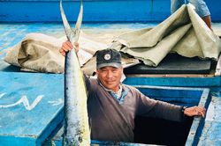 Miền Trung: Ấm lòng những chuyến biển đầy vị 'ngọt'