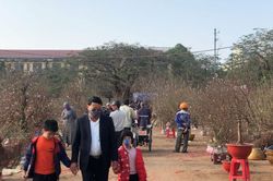 Rộn ràng không khí Tết Nguyên đán trên đất Thành Nam