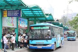 Hà Nội: Xe buýt hoạt động liên tục 14 giờ trong ngày Tết