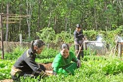 Động lực thoát nghèo