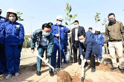 Hà Nội phát động Tết trồng cây Xuân Tân Sửu 2021