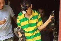 Đi đêm lắm có ngày gặp mãng xà thành tinh