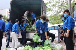 Tuổi trẻ Bắc Ninh hỗ trợ 'giải cứu' nông sản cho bà con Hải Dương