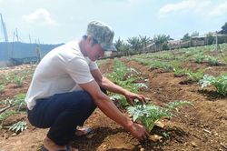 Đồng hành cùng thanh niên phát triển kinh tế