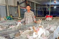 Lập nghiệp với mô hình nuôi thỏ