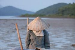 Để nghề khai thác sá sùng phát triển bền vững