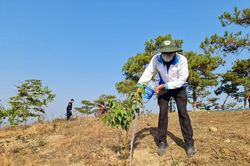 Thành Đoàn Đà Lạt phát động Tháng Thanh niên năm 2021