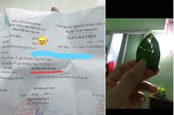 Loại cây nhiều người nghĩ trồng trong nhà 'hút lộc' nhưng thực tế cực độc nếu ăn phải, cần cảnh giác và biết cách xử trí