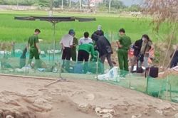 Đánh chết người vì giành chỗ ngủ trong chòi vịt