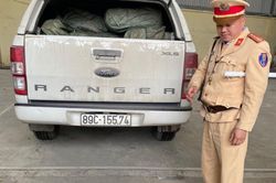 Lạng Sơn: Xe bán tải chở 350kg nầm lợn hôi thối trên đường đi tiêu thụ