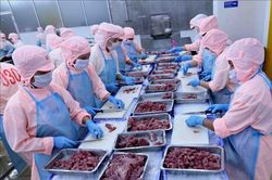 Chốt con số xuất siêu 2 tháng đầu năm: 1,64 tỷ USD