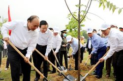 Thủ tướng dự lễ hưởng ứng chương trình trồng 1 tỷ cây xanh