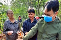 Người phụ nữ gục trên vũng máu với vết chém trên cơ thể