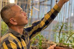 Nghệ nhân Lê Minh Hiển: 'đến với hoa lan chỉ đơn giản vì niềm đam mê'