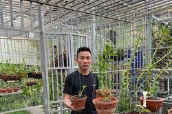Nghệ nhân Nguyễn Đăng Thỏa chia sẻ bí quyết thành công trong việc trồng lan