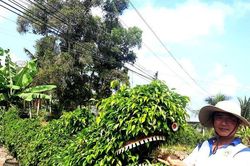 Vợ chồng cựu chiến binh dùng lương hưu… 'vá đường'