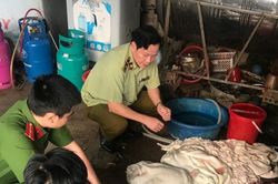 Phát hiện 220 kg nội tạng trâu, bò không rõ nguồn gốc xuất xứ