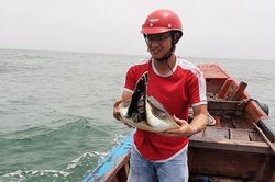 Thả rùa quý nặng 8,5kg về biển