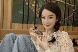 Bản sao Dương Mịch sớm hết thời