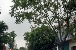 Nữ sinh òa khóc 'cầu cứu' cô giáo vì bị kẻ xấu dùng ảnh 'nóng' đe dọa