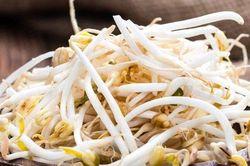 Làm cách này giá đỗ để gần cả tuần vẫn không thâm đen, nát ủng