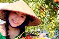 Ngắm 'căn cứ địa chống dịch' của sao Việt