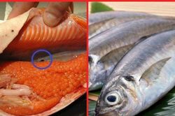 2 bộ phận không nên ăn ở cá, cẩn thận trúng độc