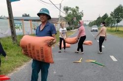 Mưa giông bất ngờ, giáo viên 'xắn tay' giúp bà con gom lúa 'chạy mưa'