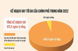 Nguồn vay nợ của Chính phủ chủ yếu từ trong nước