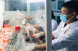 Ghi nhận biến chủng SARS-CoV-2 ở Anh và Ấn Độ tại Đà Nẵng