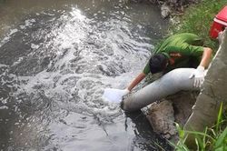 Xử phạt Công ty Tơ lụa Việt Hưng xả thải gây ô nhiễm môi trường